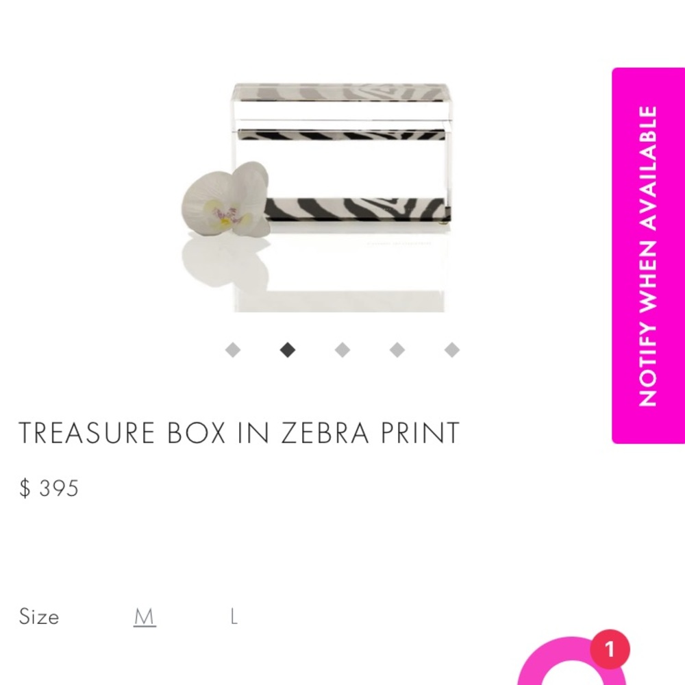 Alexandra Von Furstenburg Acrylic Zebra Treasure Box Medium NEW